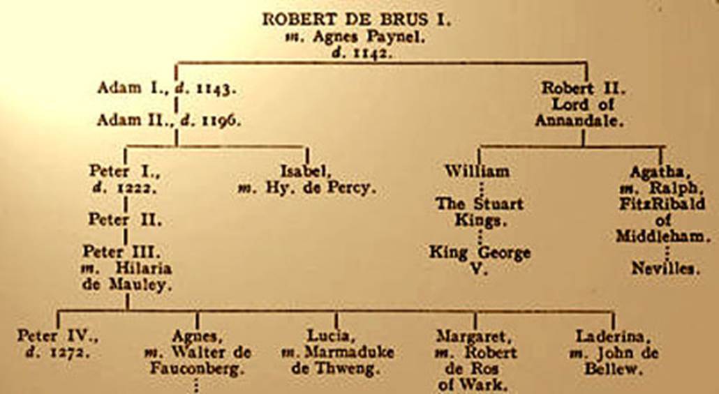 A close-up of a family tree
Description automatically generated